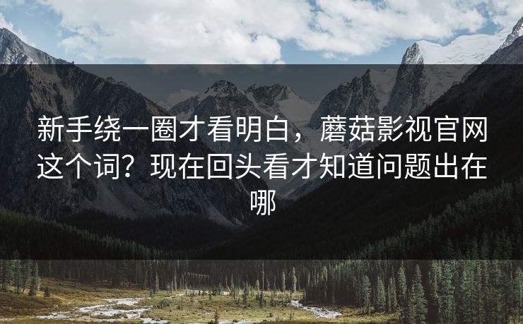 新手绕一圈才看明白，蘑菇影视官网这个词？现在回头看才知道问题出在哪