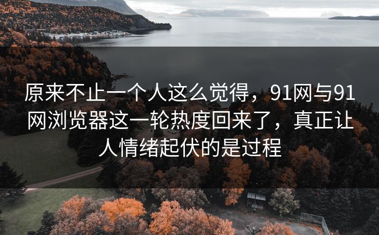 原来不止一个人这么觉得，91网与91网浏览器这一轮热度回来了，真正让人情绪起伏的是过程