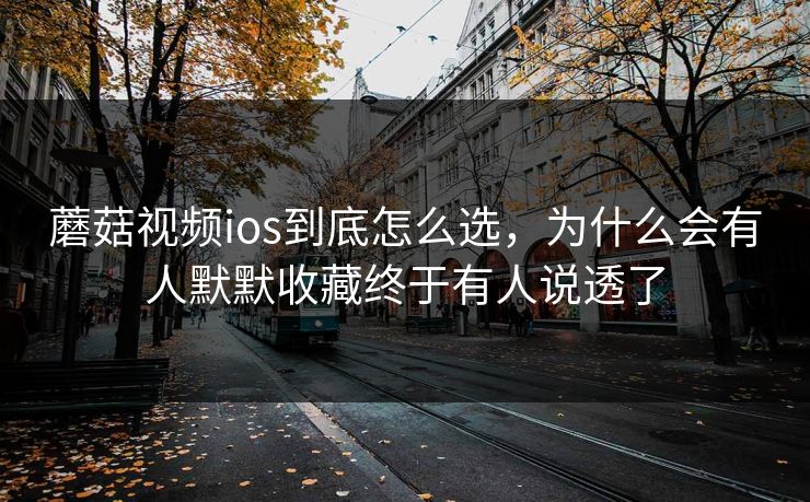 蘑菇视频ios到底怎么选，为什么会有人默默收藏终于有人说透了
