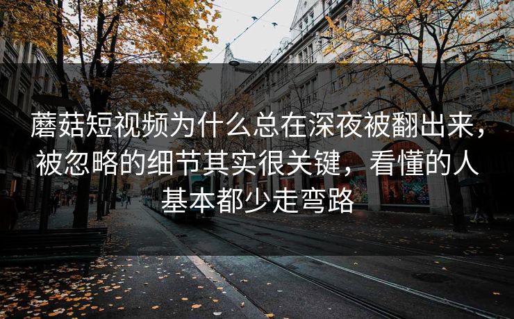 蘑菇短视频为什么总在深夜被翻出来，被忽略的细节其实很关键，看懂的人基本都少走弯路