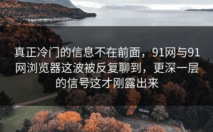 真正冷门的信息不在前面，91网与91网浏览器这波被反复聊到，更深一层的信号这才刚露出来