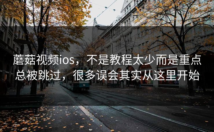 蘑菇视频ios，不是教程太少而是重点总被跳过，很多误会其实从这里开始