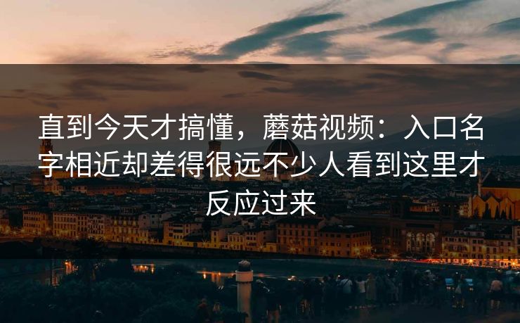 直到今天才搞懂，蘑菇视频：入口名字相近却差得很远不少人看到这里才反应过来