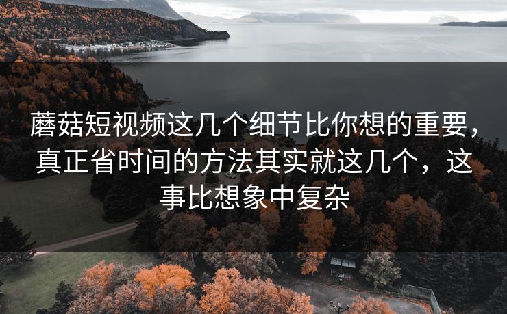 蘑菇短视频这几个细节比你想的重要，真正省时间的方法其实就这几个，这事比想象中复杂