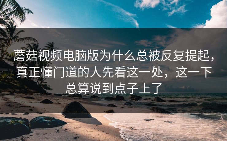 蘑菇视频电脑版为什么总被反复提起，真正懂门道的人先看这一处，这一下总算说到点子上了