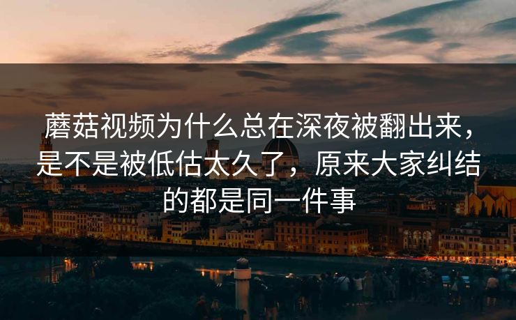 蘑菇视频为什么总在深夜被翻出来，是不是被低估太久了，原来大家纠结的都是同一件事