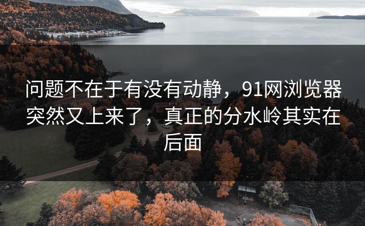 问题不在于有没有动静，91网浏览器突然又上来了，真正的分水岭其实在后面