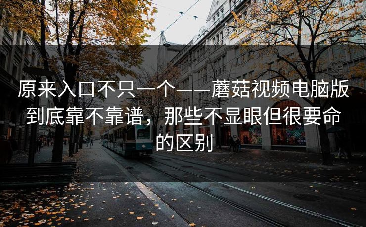 原来入口不只一个——蘑菇视频电脑版到底靠不靠谱，那些不显眼但很要命的区别