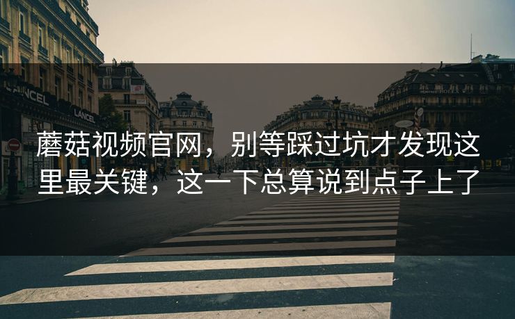 蘑菇视频官网，别等踩过坑才发现这里最关键，这一下总算说到点子上了