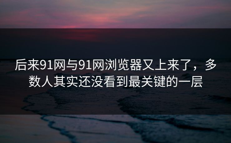 后来91网与91网浏览器又上来了，多数人其实还没看到最关键的一层